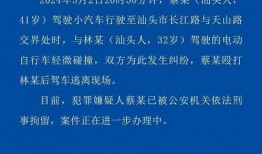 最新情况爆料,重大事件背后真相曝光
